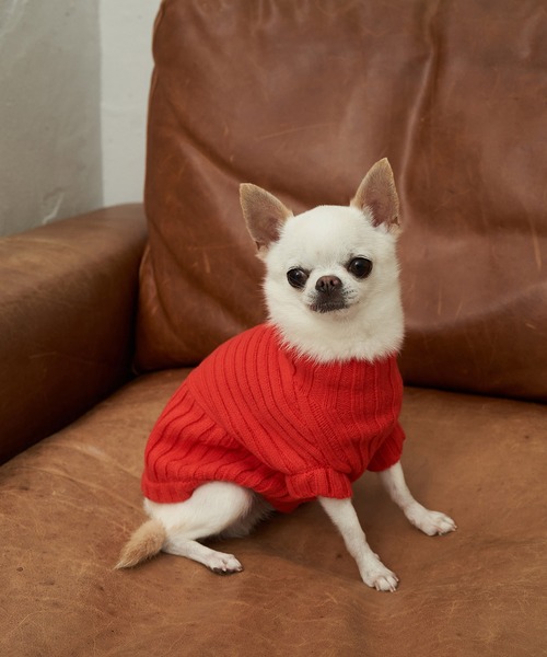 ROPE' PICNIC（ロペピクニック）の「【DOG】【WEB限定カラー:ミント, ピンク,イエロー】リブ切替プルオーバー（ペットウェア・レディース・レッド/ピンク/イエロー/オレンジ/ブルー/グリーン/パープル系その他/キナリ/グリーン系その他2・M size/S/M/L）」の9枚目の写真