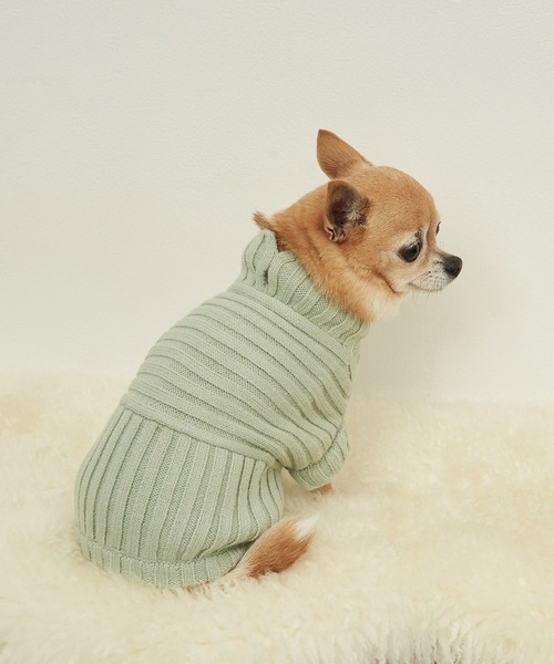 ROPE' PICNIC（ロペピクニック）の「【DOG】【WEB限定カラー:ミント, ピンク,イエロー】リブ切替プルオーバー（ペットウェア・レディース・レッド/ピンク/イエロー/オレンジ/ブルー/グリーン/パープル系その他/キナリ/グリーン系その他2・M size/S/M/L）」の3枚目の写真