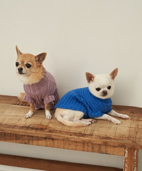 ROPE' PICNIC（ロペピクニック）の「【DOG】【WEB限定カラー:ミント, ピンク,イエロー】リブ切替プルオーバー（ペットウェア・レディース・レッド/ピンク/イエロー/オレンジ/ブルー/グリーン/パープル系その他/キナリ/グリーン系その他2・M size/S/M/L）」の12枚目の写真