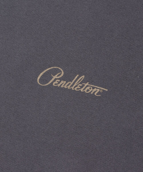PENDLETON（ペンドルトン）の「【PENDLETON/ペンドルトン】バックプリントフーディ ラグラン ビッグシルエット（パーカー・メンズ・グレイッシュベージュ/チャコールグレー/ネイビー・M/L）」の5枚目の写真