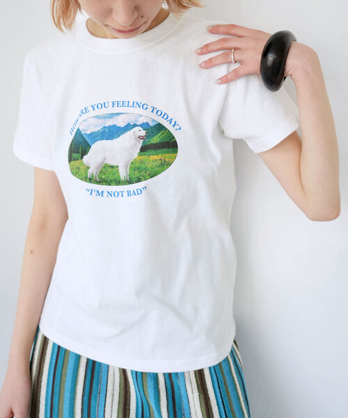 SLOBE citron.（スローブシトロン）の「SLOBE citron. Im not bad Dog TEE（Tシャツ/カットソー・レディース・ホワイト・FREE）」の14枚目の写真