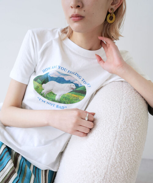SLOBE citron.（スローブシトロン）の「SLOBE citron. Im not bad Dog TEE（Tシャツ/カットソー・レディース・ホワイト・FREE）」の12枚目の写真