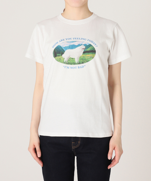 SLOBE citron.（スローブシトロン）の「SLOBE citron. Im not bad Dog TEE（Tシャツ/カットソー・レディース・ホワイト・FREE）」の11枚目の写真