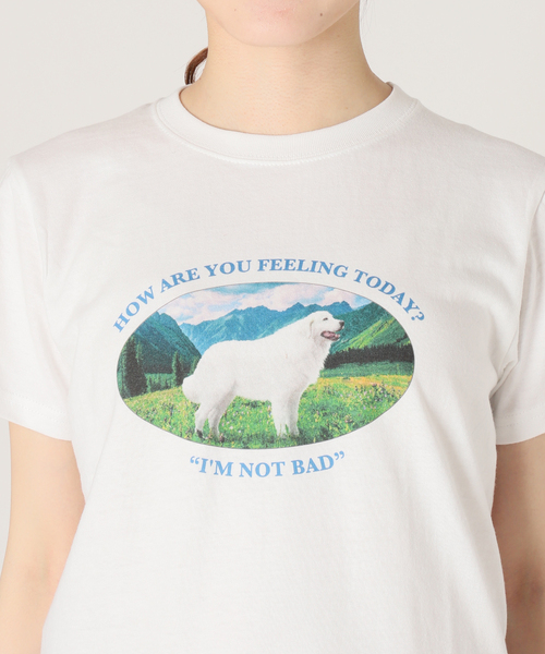 SLOBE citron.（スローブシトロン）の「SLOBE citron. Im not bad Dog TEE（Tシャツ/カットソー・レディース・ホワイト・FREE）」の8枚目の写真