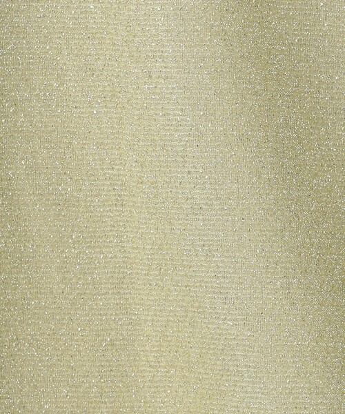 UNITED ARROWS（ユナイテッドアローズ）の「グリッターラメ ジャージー カットソー（Tシャツ/カットソー・レディース・シルバー/ブラック/ライトピンク/ゴールド・FREE）」の20枚目の写真