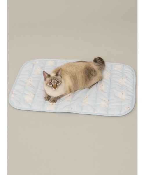 gelato pique(ジェラートピケ)の「【CAT&DOG】【接触冷感】シロクマ柄COOLINGマット(ペット用クッション/マット・レディース・ブルー/ネイビー・FREE)」の8枚目の写真