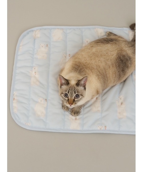 gelato pique(ジェラートピケ)の「【CAT&DOG】【接触冷感】シロクマ柄COOLINGマット(ペット用クッション/マット・レディース・ブルー/ネイビー・FREE)」の9枚目の写真