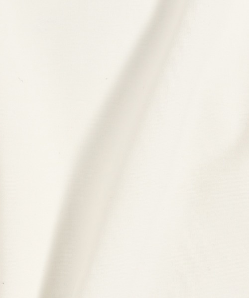 HARE(ハレ)の「【接触冷感 汗シミ低減】ICYポンチコンパクトカットソー(HARE)(Tシャツ/カットソー・メンズ・ブラック/ホワイト/ピンク・SMALL/MEDIUM)」の11枚目の写真