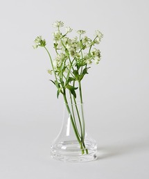 TODAY'S SPECIAL(gDfCYXyV)̃KXx[X t@Sbg NA(t[x[X)