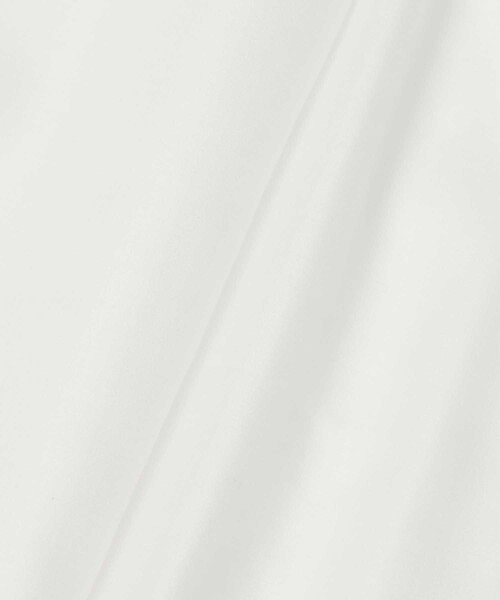 LOULOU WILLOUGHBY(ルルウィルビー)の「【LOULOU WILLOUGHBY】ラッフルレイヤーアメスリブラウス(シャツ/ブラウス・レディース・ブルーグリーン/オフホワイト/ブラック・2)」の21枚目の写真