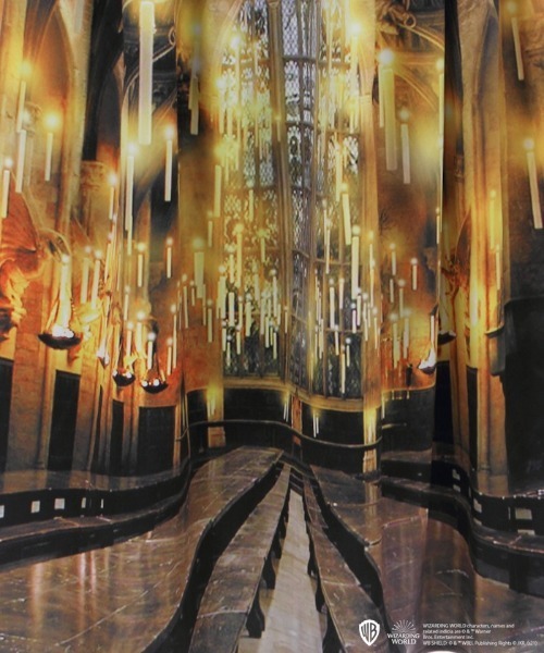 axes femme（アクシーズファム）の「ハリー・ポッターワンピース（ワンピース・レディース・ブラック/ネイビー・MEDIUM）」の17枚目の写真