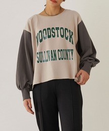 ドッキングスウェットプル