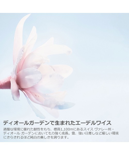 Dior（ディオール）の「ディオール スノー エッセンス ホリデー