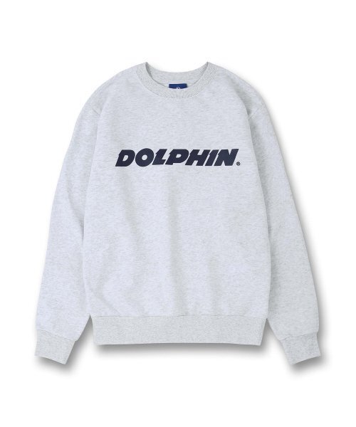 DOLPHIN WAVE APPAREL(ドルフィンウェーブアパレル)の「ドルフィン アセンティック ロゴ スウェット クールグレー(スウェット・メンズ・その他・MEDIUM/LARGE/X-LARGE)」の1枚目の写真