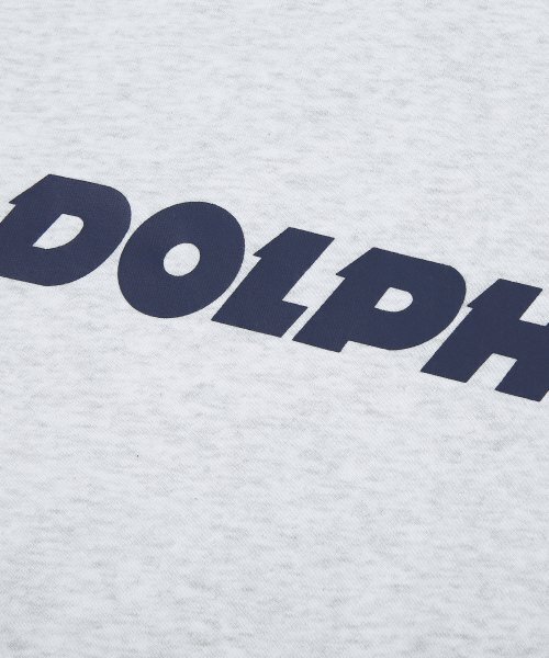 DOLPHIN WAVE APPAREL(ドルフィンウェーブアパレル)の「ドルフィン アセンティック ロゴ スウェット クールグレー(スウェット・メンズ・その他・MEDIUM/LARGE/X-LARGE)」の2枚目の写真