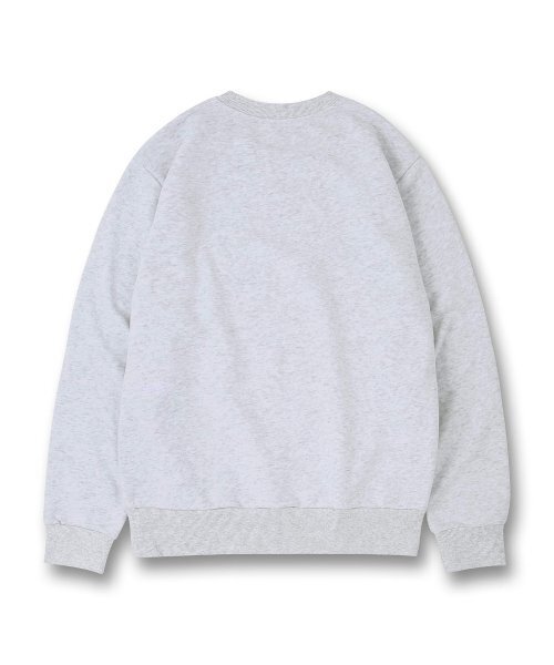 DOLPHIN WAVE APPAREL(ドルフィンウェーブアパレル)の「ドルフィン アセンティック ロゴ スウェット クールグレー(スウェット・メンズ・その他・MEDIUM/LARGE/X-LARGE)」の3枚目の写真