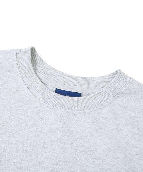 DOLPHIN WAVE APPAREL(ドルフィンウェーブアパレル)の「ドルフィン アセンティック ロゴ スウェット クールグレー(スウェット・メンズ・その他・MEDIUM/LARGE/X-LARGE)」の4枚目の写真