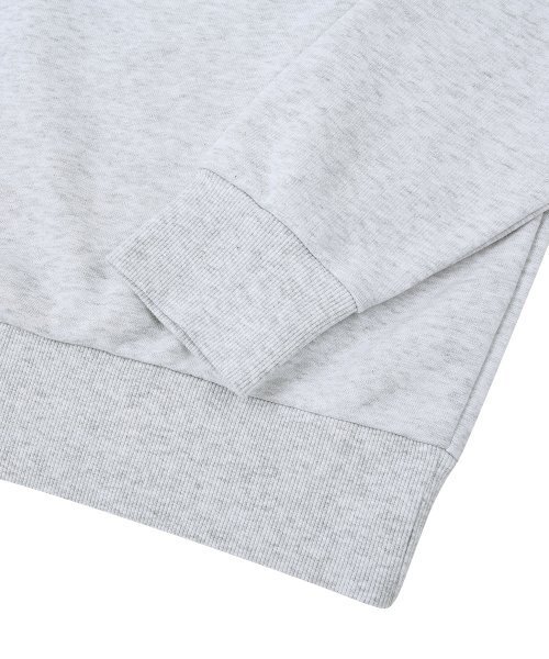 DOLPHIN WAVE APPAREL(ドルフィンウェーブアパレル)の「ドルフィン アセンティック ロゴ スウェット クールグレー(スウェット・メンズ・その他・MEDIUM/LARGE/X-LARGE)」の5枚目の写真
