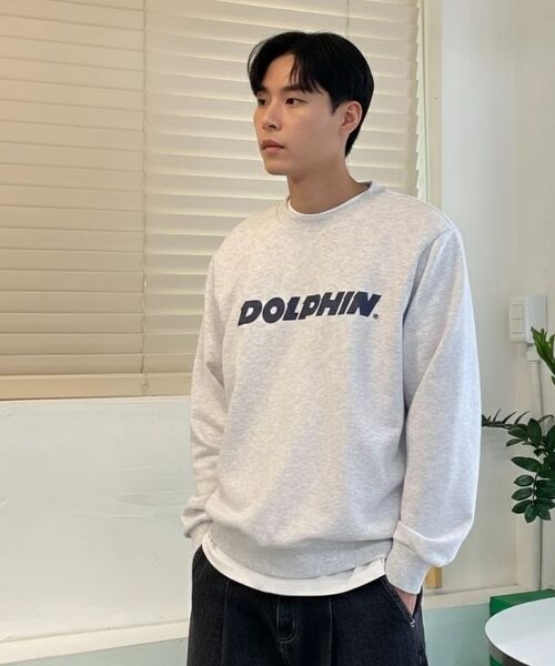 DOLPHIN WAVE APPAREL(ドルフィンウェーブアパレル)の「ドルフィン アセンティック ロゴ スウェット クールグレー(スウェット・メンズ・その他・MEDIUM/LARGE/X-LARGE)」の9枚目の写真