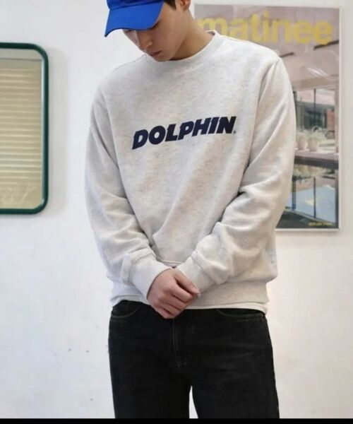 DOLPHIN WAVE APPAREL(ドルフィンウェーブアパレル)の「ドルフィン アセンティック ロゴ スウェット クールグレー(スウェット・メンズ・その他・MEDIUM/LARGE/X-LARGE)」の10枚目の写真