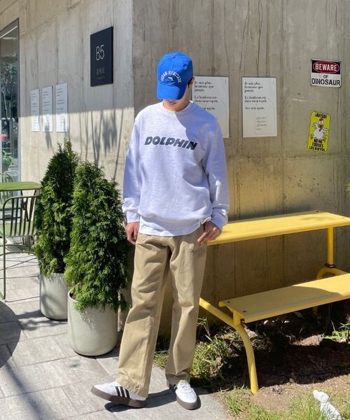DOLPHIN WAVE APPAREL(ドルフィンウェーブアパレル)の「ドルフィン アセンティック ロゴ スウェット クールグレー(スウェット・メンズ・その他・MEDIUM/LARGE/X-LARGE)」の15枚目の写真