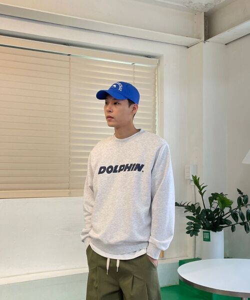 DOLPHIN WAVE APPAREL(ドルフィンウェーブアパレル)の「ドルフィン アセンティック ロゴ スウェット クールグレー(スウェット・メンズ・その他・MEDIUM/LARGE/X-LARGE)」の16枚目の写真