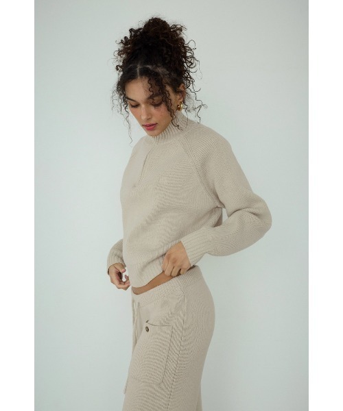 ALEXIA STAM(アリシアスタン)の「Half Zip Knit Top/ハーフジップニット(ニット/セーター・レディース・グレー/ネイビー/ベージュ・FREE)」の14枚目の写真