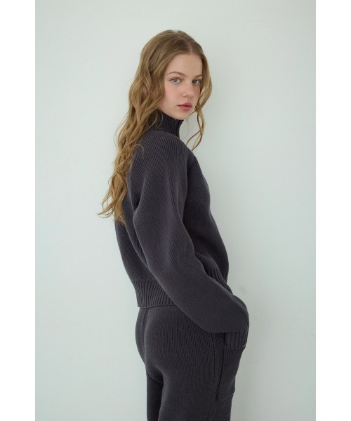 ALEXIA STAM(アリシアスタン)の「Half Zip Knit Top/ハーフジップニット(ニット/セーター・レディース・グレー/ネイビー/ベージュ・FREE)」の17枚目の写真