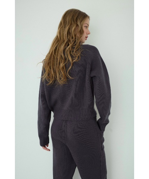 ALEXIA STAM(アリシアスタン)の「Half Zip Knit Top/ハーフジップニット(ニット/セーター・レディース・グレー/ネイビー/ベージュ・FREE)」の18枚目の写真