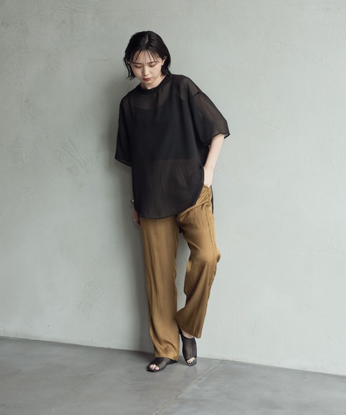 Aunt Marie's（アントマリーズ）の「ハーフスリーブシアートップス【AUNT MARIE'S 】（Tシャツ/カットソー・レディース・ブラック/モカ/スモークピンク/ライトベージュ・FREE）」の10枚目の写真