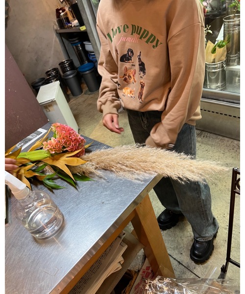 JUMELLE（ジュメロ）の「ｂｕｄｄｙスウェット（スウェット・レディース・グレー/ブラウン・FREE）」の8枚目の写真