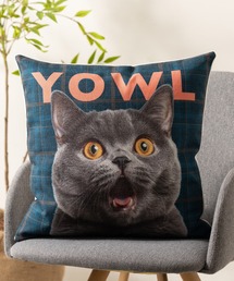 ABBEY MARKET(Ar[}[Pbg)Purr Purr NbVJo[ Rbgl(NbV/NbVJo[)