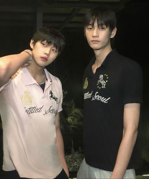 UNTITLED SEOUL(アンタイトル ソウル)の「アンタイトル クレスト ポロ クロップ 半袖 ピンク(Tシャツ/カットソー・メンズ・その他・MEDIUM/LARGE/SMALL)」の15枚目の写真