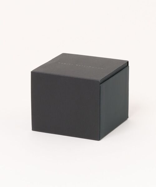 Daniel Wellington（ダニエルウェリントン）の「新作 Quadro Mini Mesh 15.4x18.2MM レディース腕時計（アナログ腕時計・レディース・シルバー/ピンクゴールド/イエローゴールド・ONE SIZE）」の13枚目の写真