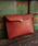 BrownBrown�i�u���E���u���E���j�́u�yBrownBrown�z�u���E���u���E��/Mr. Brown�h�L�������g�N���b�`�o�b�N�i�N���b�`�o�b�O�j�v�b���b�h