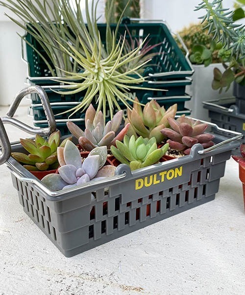 DULTON(ダルトン)の「DESKTOP BASKET/デスクトップ バスケット(その他雑貨・メンズ・レッド/オレンジ/イエロー/グリーン/アイボリー/ピンク/サックスブルー/グレー/ミント/ネイビー・FREE)」の12枚目の写真