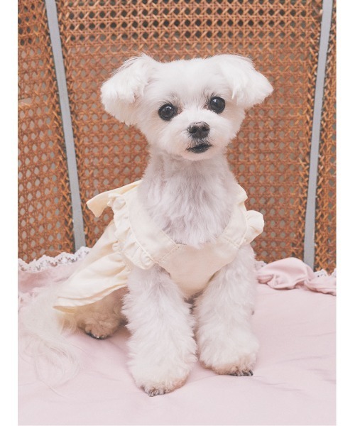 ☆レア☆ MARS マーズ 犬服 パフューム柄おリボン付フリルワンピ