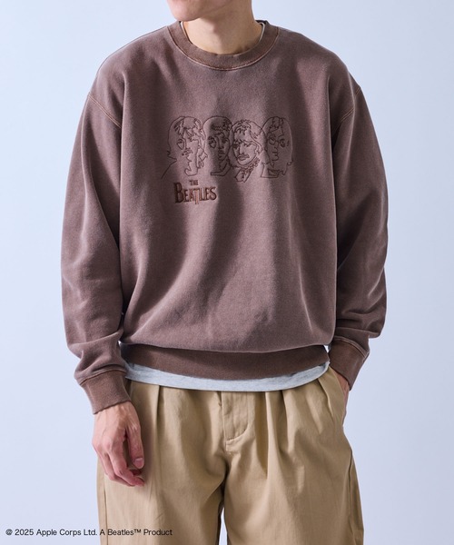 j.n.r.d(ジェー・エヌ・アール・ディー)の「【GOOD ROCK SPEED/グッドロックスピード】BEETLES EMBROIDERY ART SWEAT(Tシャツ/カットソー・メンズ・ダークブラウン/チャコールグレー・M/L/LL)」の2枚目の写真