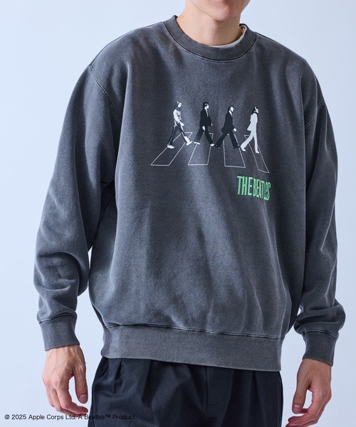 j.n.r.d(ジェー・エヌ・アール・ディー)の「【GOOD ROCK SPEED/グッドロックスピード】BEETLES EMBROIDERY ART SWEAT(Tシャツ/カットソー・メンズ・ダークブラウン/チャコールグレー・M/L/LL)」の16枚目の写真