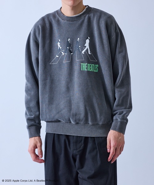 j.n.r.d(ジェー・エヌ・アール・ディー)の「【GOOD ROCK SPEED/グッドロックスピード】BEETLES EMBROIDERY ART SWEAT(Tシャツ/カットソー・メンズ・ダークブラウン/チャコールグレー・M/L/LL)」の15枚目の写真