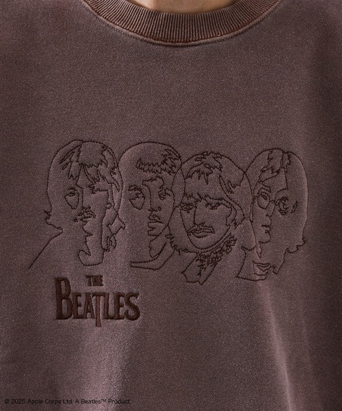 j.n.r.d(ジェー・エヌ・アール・ディー)の「【GOOD ROCK SPEED/グッドロックスピード】BEETLES EMBROIDERY ART SWEAT(Tシャツ/カットソー・メンズ・ダークブラウン/チャコールグレー・M/L/LL)」の13枚目の写真