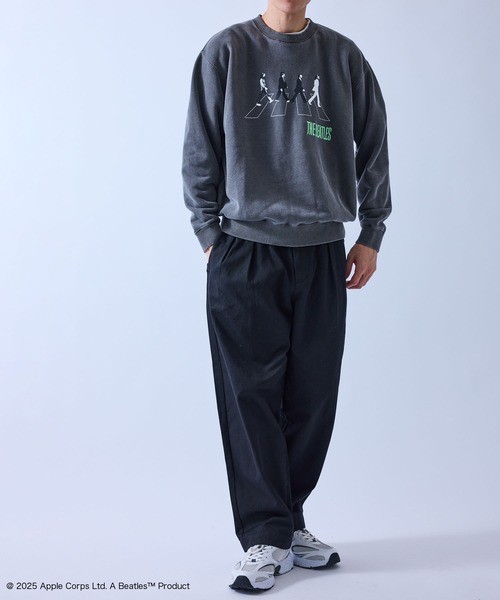 j.n.r.d(ジェー・エヌ・アール・ディー)の「【GOOD ROCK SPEED/グッドロックスピード】BEETLES EMBROIDERY ART SWEAT(Tシャツ/カットソー・メンズ・ダークブラウン/チャコールグレー・M/L/LL)」の4枚目の写真