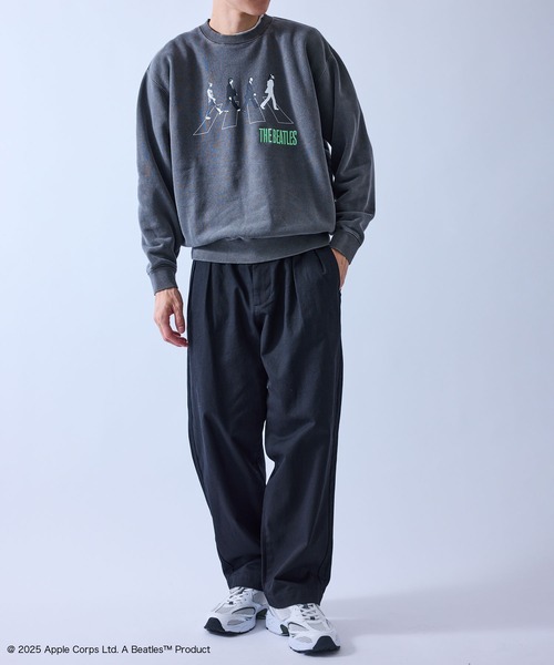 j.n.r.d(ジェー・エヌ・アール・ディー)の「【GOOD ROCK SPEED/グッドロックスピード】BEETLES EMBROIDERY ART SWEAT(Tシャツ/カットソー・メンズ・ダークブラウン/チャコールグレー・M/L/LL)」の3枚目の写真