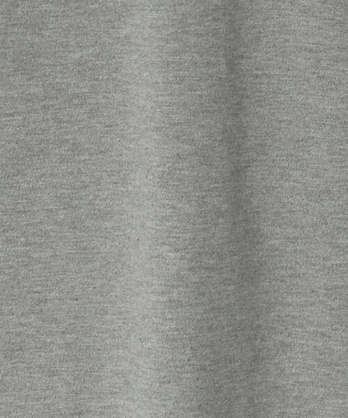 LOEFF（ロエフ）の「＜LOEFF＞スビンコットン ショートスリーブ カットソー（Tシャツ/カットソー・レディース・グレー系/ホワイト・FREE）」の18枚目の写真