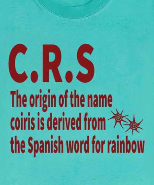 COIRIS(コイリス)の「CRS ビビッドミント スリムフィット 半袖Tシャツ(Tシャツ/カットソー・レディース・ミント/ホワイト・FREE)」の5枚目の写真