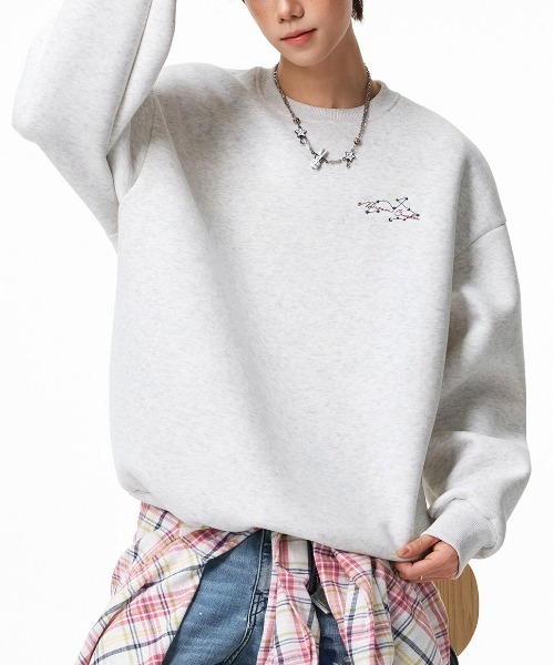 DOUBLE STEAL(ダブルスティール)の「DSバックデザインクルーネックスウェット(スウェット・メンズ・アッシュ/ブラック/ブラウン・X-LARGE/MEDIUM/LARGE)」の1枚目の写真