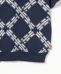 Hellrazor ヘルレイザー ハーフジップ ニット ポロシャツ シャツ Hellrazor（ヘルレイザー）の「HELLRAZOR / H CHAIN POLO KNIT