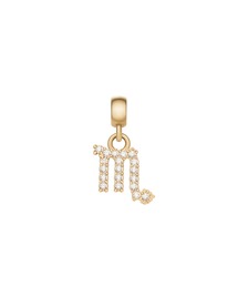 Daniel Wellington（ダニエルウェリントン）の「CRYSTAL ZODIAC CHARM 星座チャーム　ゴールド（チャーム）」