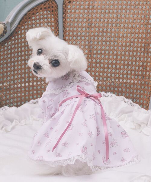 お値段見直しました◡̈♥︎ メゾンドフルール　フラワープリントワンピース フラワープリントワンピース/Maison de FLEUR Petite Robe
