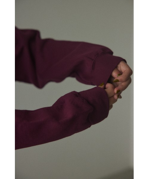 BLACK BY MOUSSY（ブラックバイマウジー）の「ski ski sweat tops(スキースキースウェットトップス)（スウェット・レディース・トップグレー/ボルドー・FREE）」の18枚目の写真
